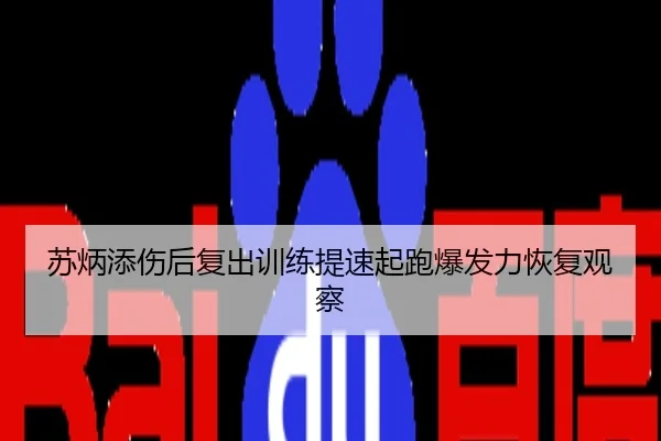 苏炳添伤后复出训练提速起跑爆发力恢复观察
