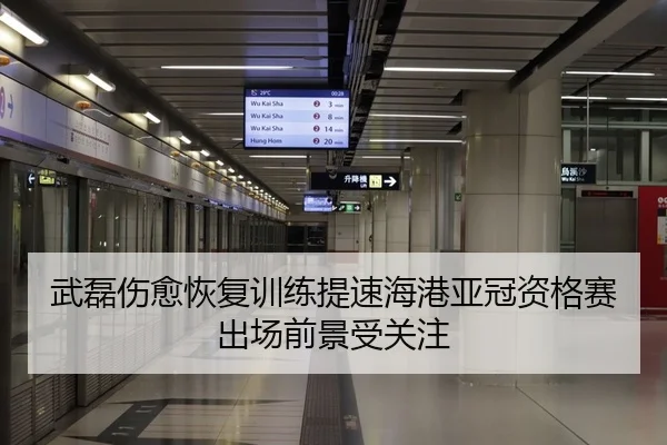 武磊伤愈恢复训练提速海港亚冠资格赛出场前景受关注